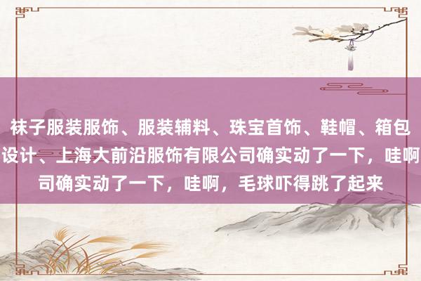 袜子服装服饰、服装辅料、珠宝首饰、鞋帽、箱包的批发、零售、服装设计、上海大前沿服饰有限公司确实动了一下,哇啊,毛球吓得跳了起来