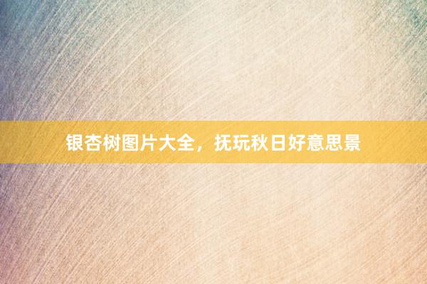 银杏树图片大全，抚玩秋日好意思景